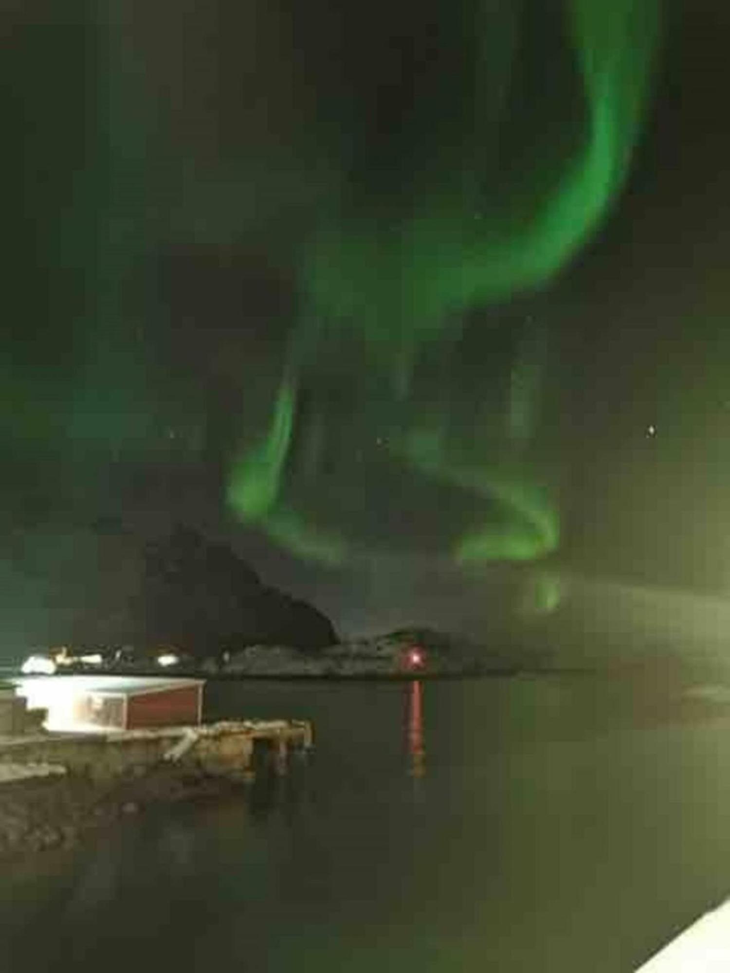 Ny Leilighet I Henningsvaer! Dış mekan fotoğraf