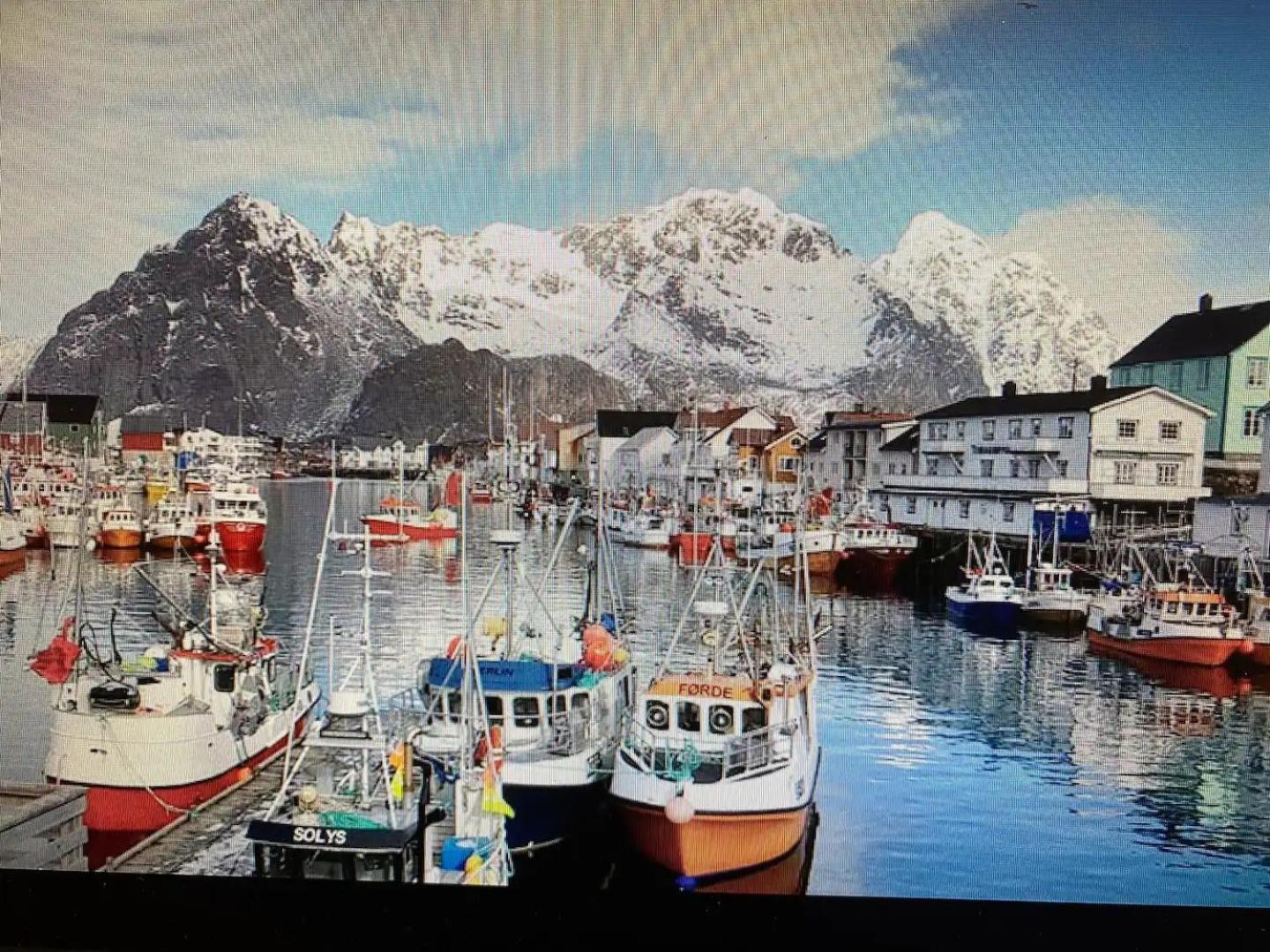 Ny Leilighet I Henningsvaer! Dış mekan fotoğraf