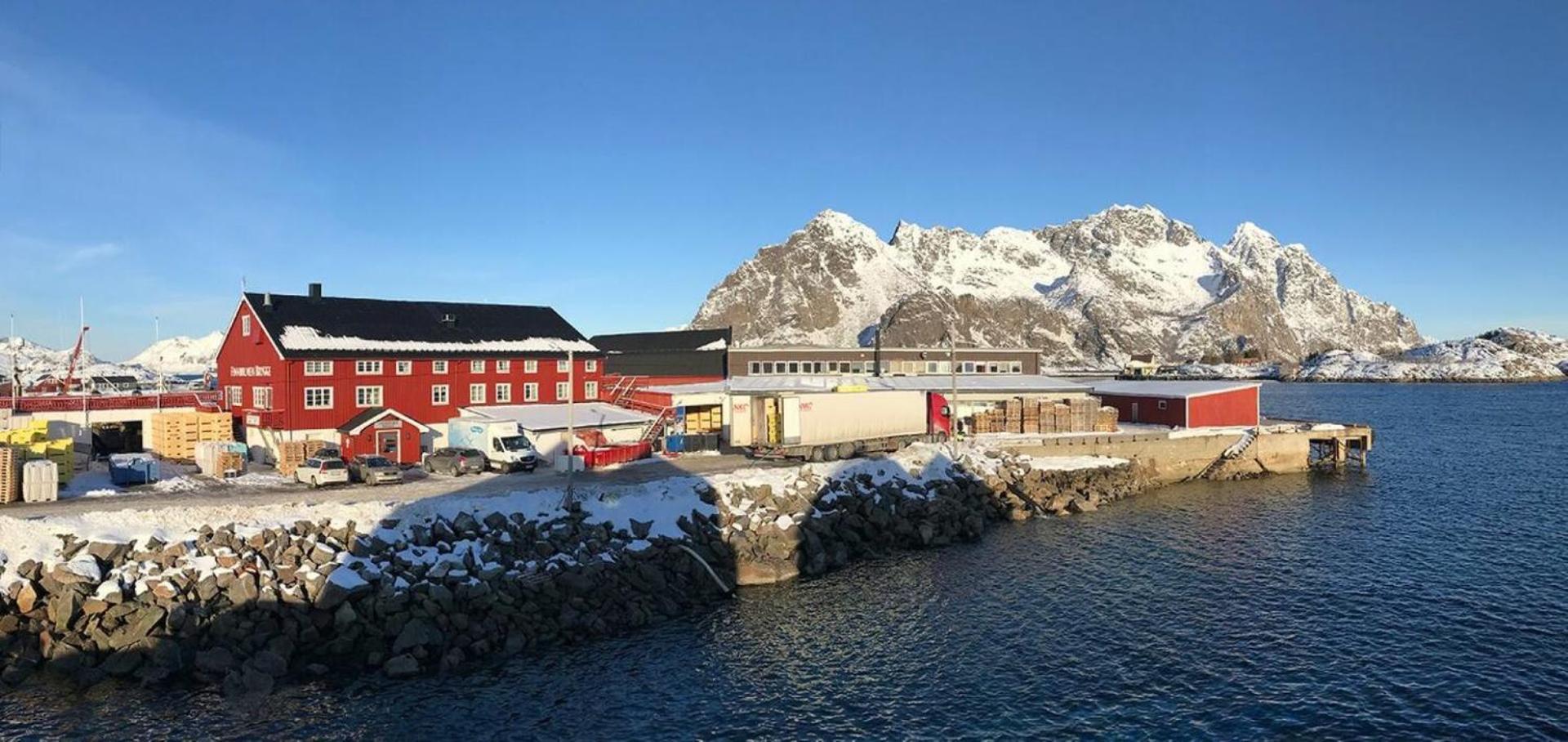 Ny Leilighet I Henningsvaer! Dış mekan fotoğraf